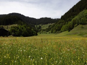 Miscellaneous - Casa Zuela, (Segnas/Disentis). by Interhome (Disentis)