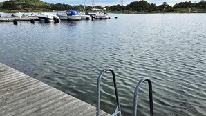 Un molo di legno con ringhiere metalliche, un lago calmo e diverse barche ormeggiate al pontile.