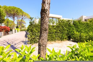 Un chemin bordé d’arbres mène à un bâtiment moderne, avec un ciel dégagé en arrière-plan.
