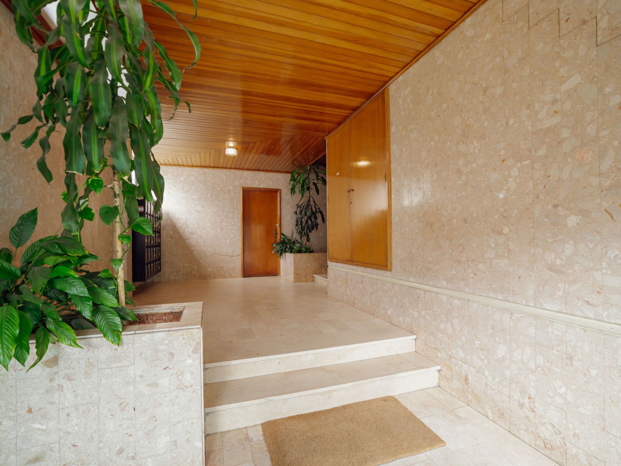 Un intérieur moderne avec un plafond en bois, un escalier et une grande plante en pot.