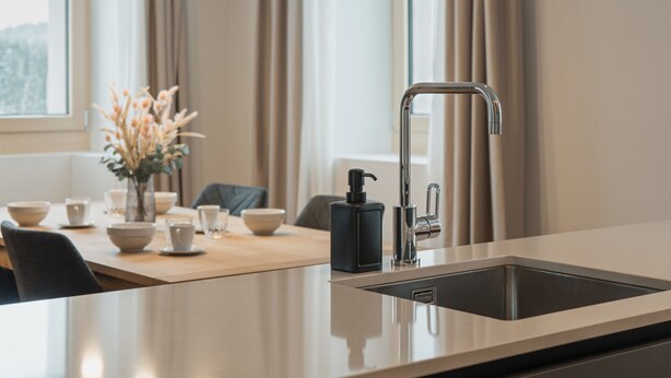 A modern kitchen with a stainless steel sink, a black soap dispenser, and a vase with dried flowers on the counter. - Alpine Apartments, (San Bernardino), by Interhome (San  Bernardino)