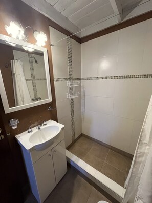 Shower, bidet, soap, toilet paper