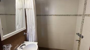 Shower, bidet, soap, toilet paper