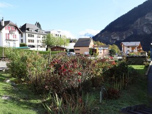 A residential area with houses, a garden with red foliage, and a mountain in the background. - Petit Nid Douillet au Coeur de Salvan by Interhome (Salvan)