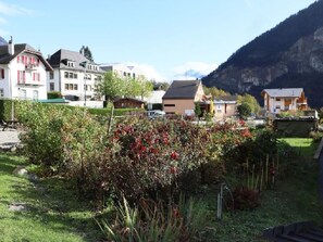 Ein Wohngebiet mit Häusern, einem Garten mit roten Blumen und einem Berg im Hintergrund.