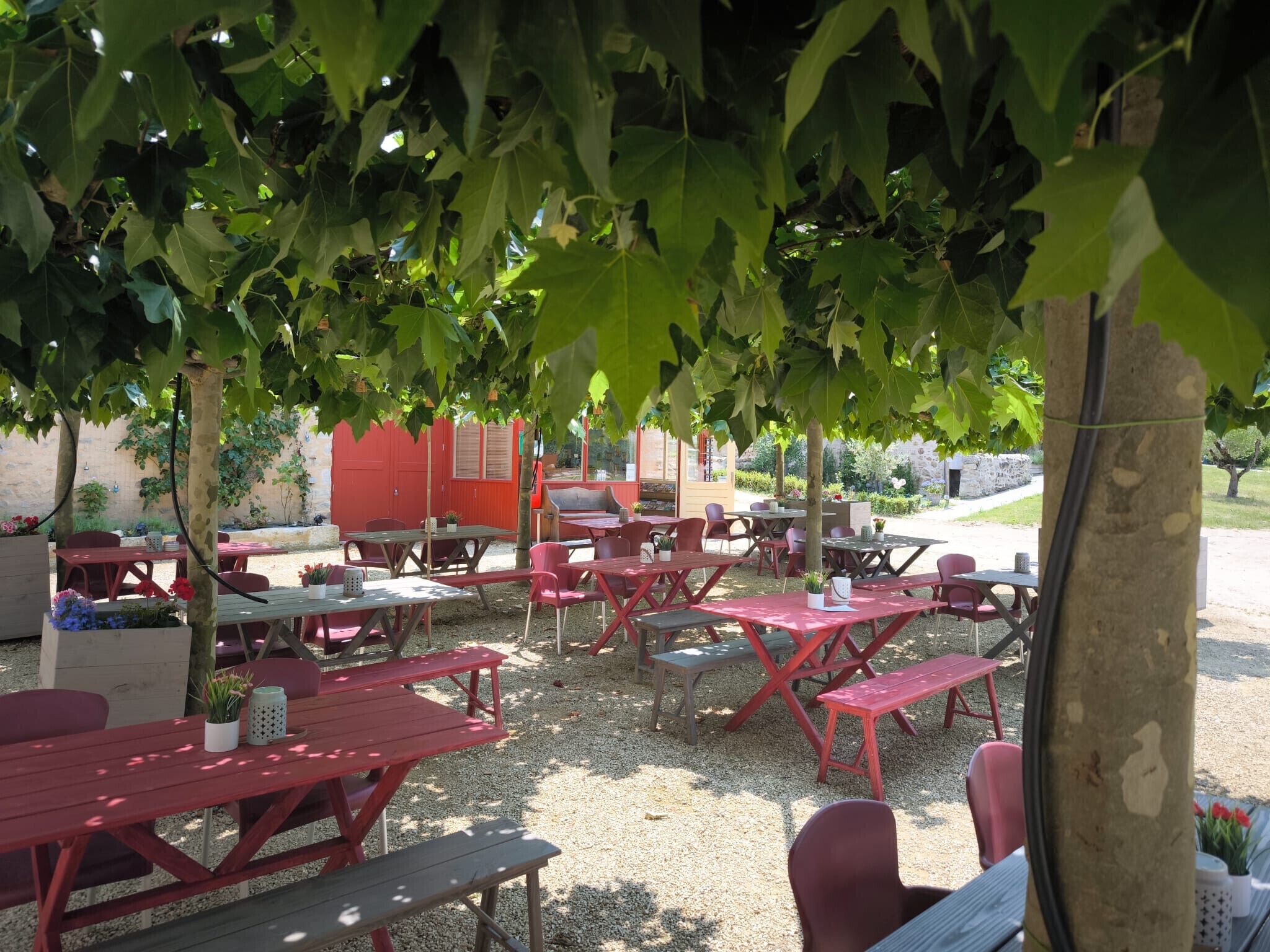 An outdoor seating area with tables and chairs under trees, surrounded by a gravel ground.