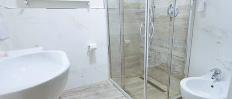 Shower, hair dryer, bidet, towels
