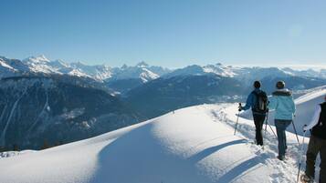 Wintersport/Ski