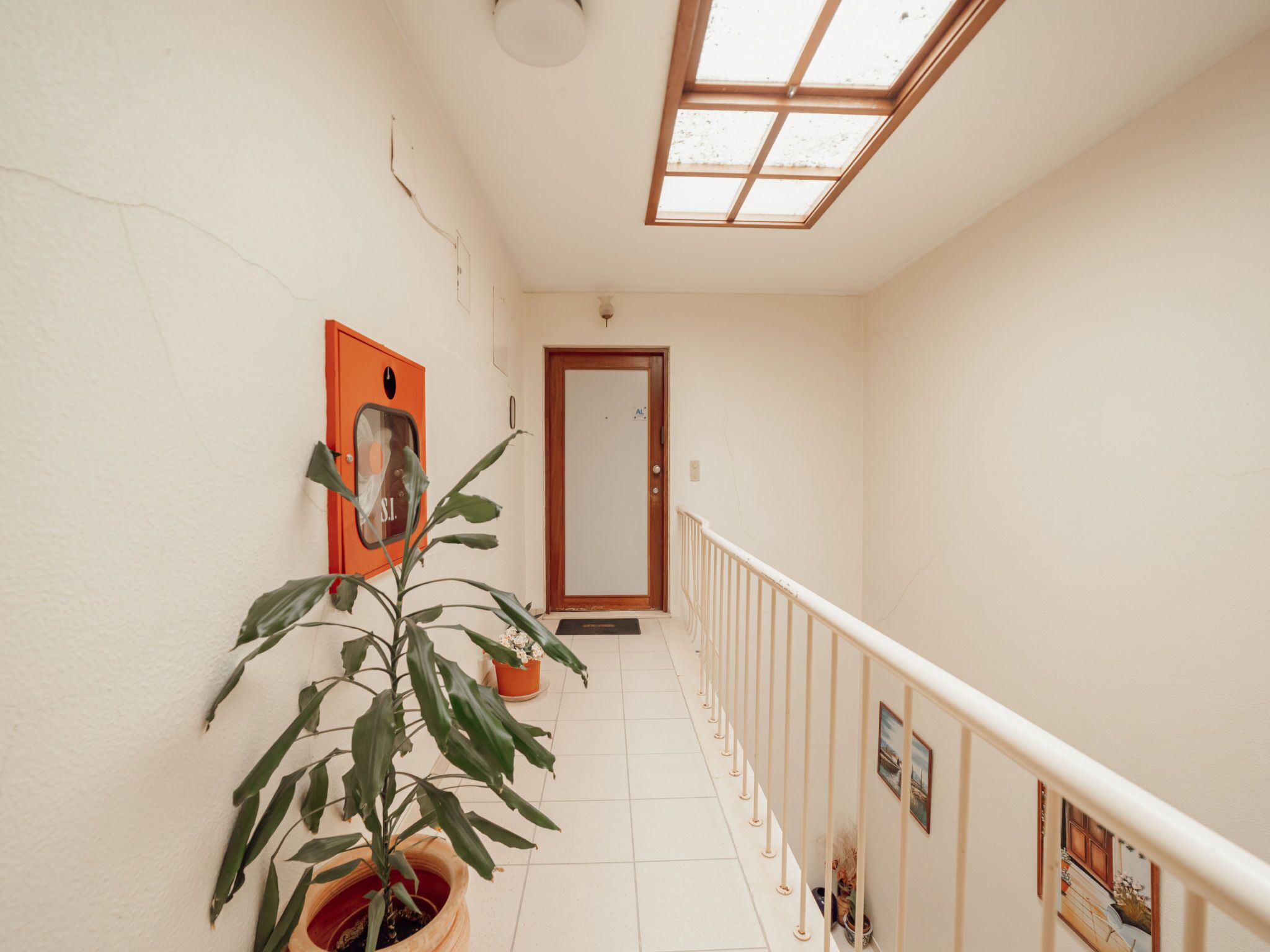Un pasillo con una planta en maceta, una puerta y un ventanal pequeño.