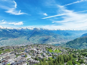Miscellaneous - Apartment  by Interhome (Nendaz)