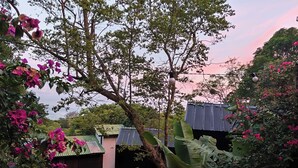 A garden with a wooden deck, a metal roofed structure, and a large tree.