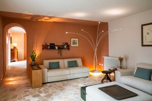 Smart-TV, Kamin