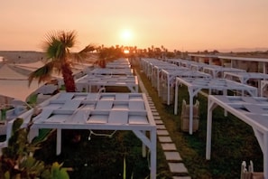 Une rangĂ©e de chaises longues blanches est alignĂ©e le long dâun sentier bordĂ© de palmiers, avec un coucher de soleil en arriĂšre-plan.