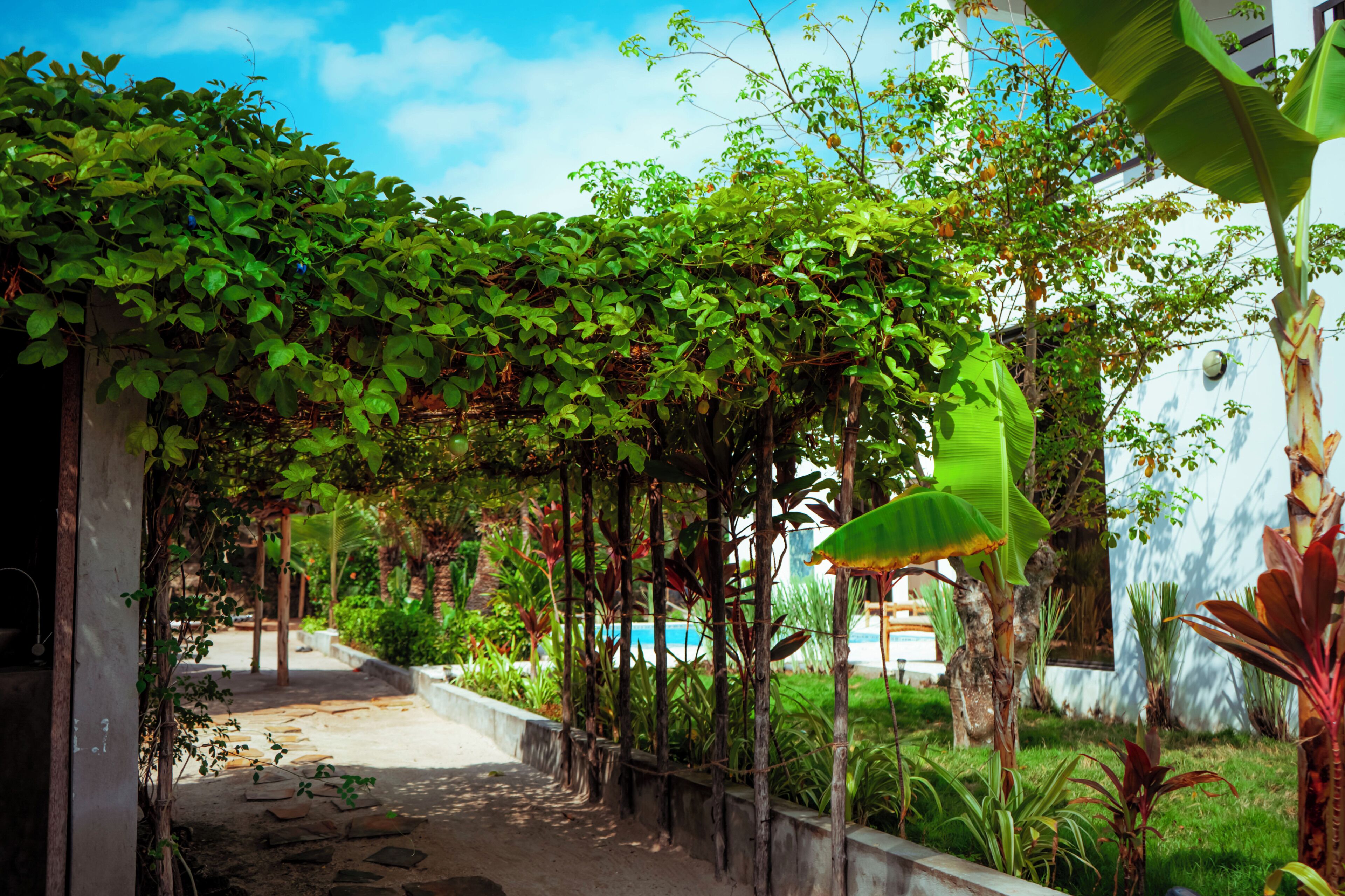 Un vialetto nel giardino conduce a una piscina, circondata da vegetazione rigogliosa e un edificio bianco.