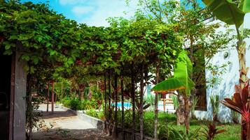 Un vialetto nel giardino conduce a una piscina, circondata da vegetazione rigogliosa e un edificio bianco.