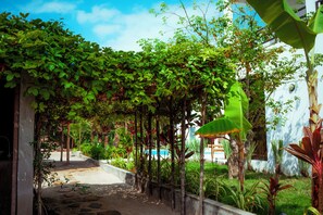 Un vialetto nel giardino conduce a una piscina, circondata da vegetazione rigogliosa e un edificio bianco.