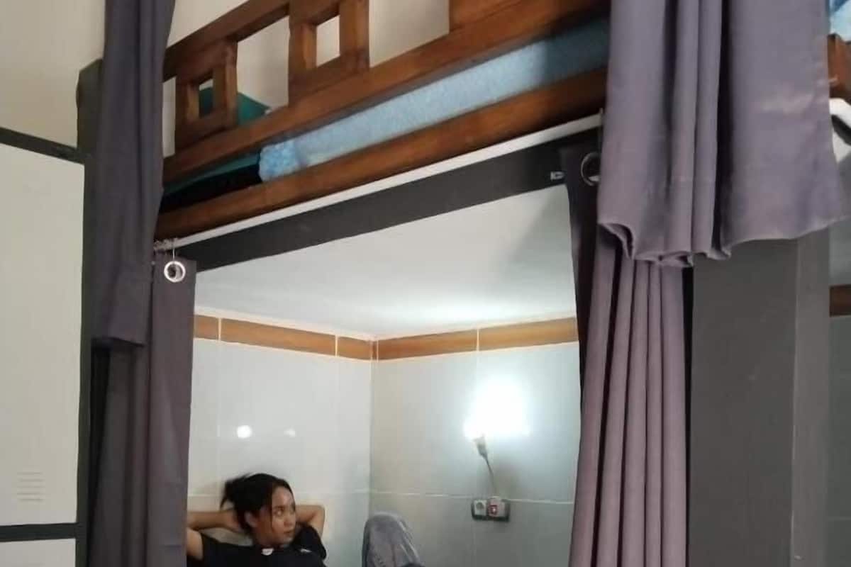 Dortoir Partagé, vue jardin