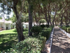 Terrace - Açoteias Studio by Interhome (Albufeira)
