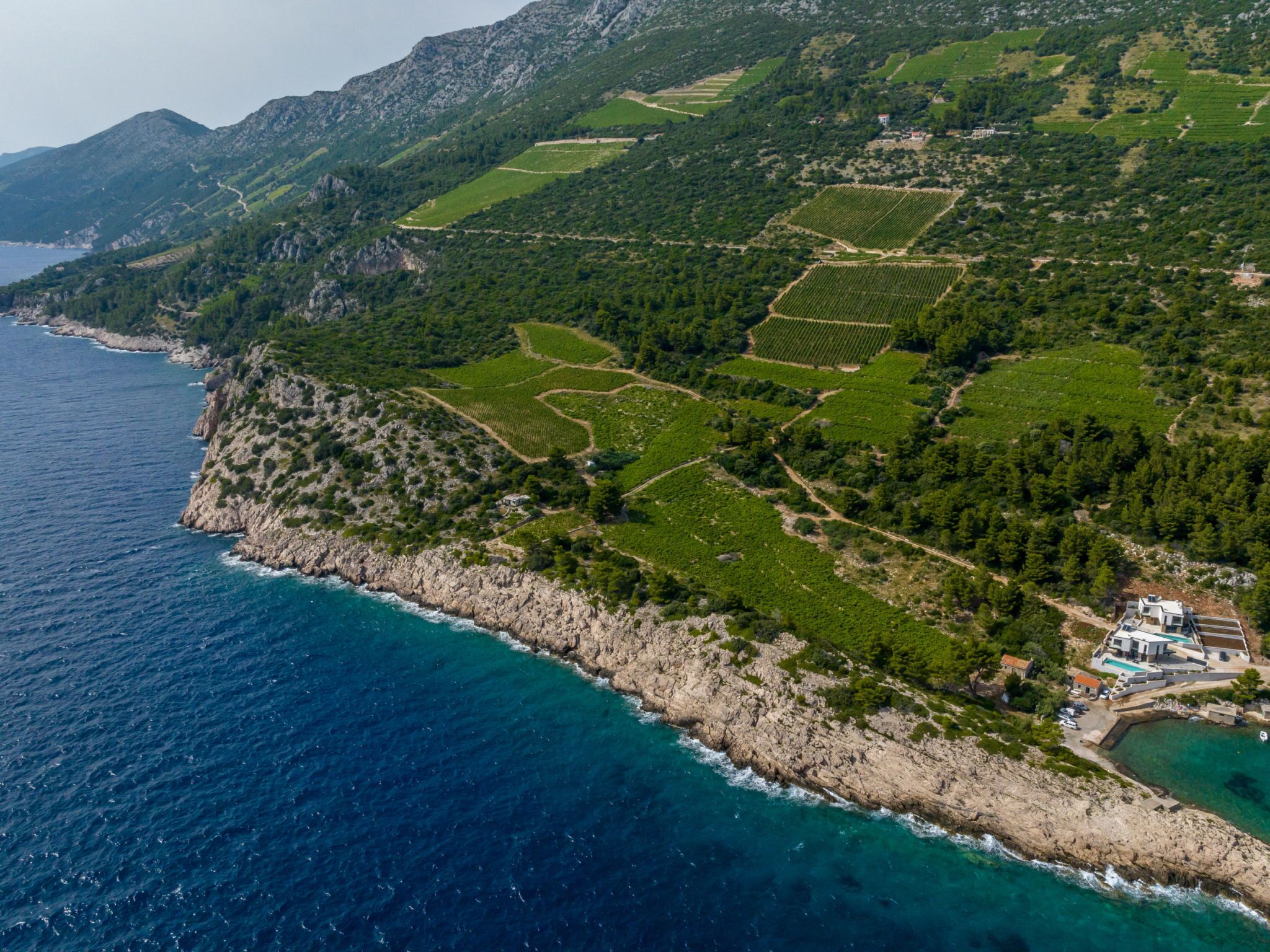 Vue aérienne d’une zone côtière avec des vignobles en terrasses, une côte rocheuse et un bâtiment doté d’une piscine.