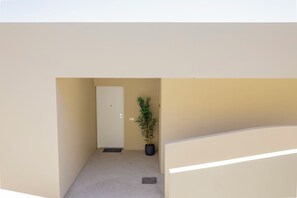 A narrow hallway with a door at the end, a potted plant, and a light switch on the wall.