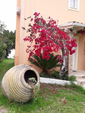 Property grounds - Seafront Cozy Villa - Corfu Homely Getaway (Kavos)
