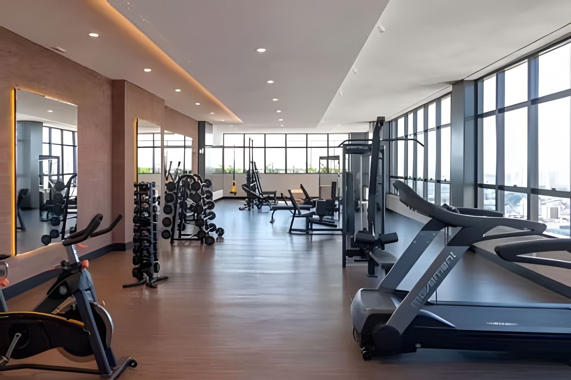 Deluxe Apartment | Fitness facility