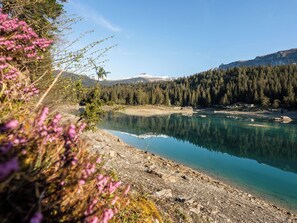 A clear lake surrounded by forested mountains and a rocky shoreline. - Casa Cappalutta, (Flims Waldhaus), by Interhome (Flims)