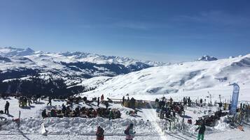Sneeuw- en skisporten