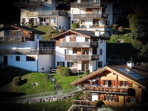 Exterior - Apartment  by Interhome (Laax)