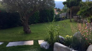Un jardín bien cuidado con un árbol grande, césped y un camino de piedra.
