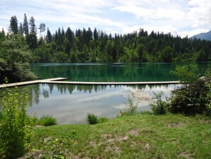 Ein ruhiger See, umgeben von dichtem Wald und wolkenlosem Himmel.