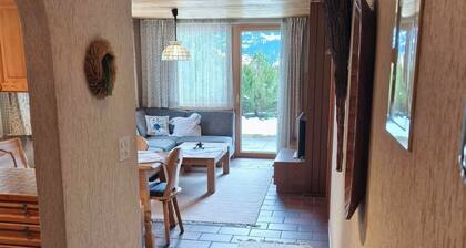 Casa Schumelins / Tittel, (Falera), 401 by Interhome
