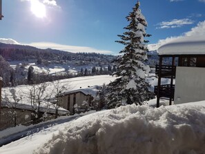 Property grounds - Panorama A23 / Fitzi, (Flims Dorf), 2602 by Interhome (Flims)
