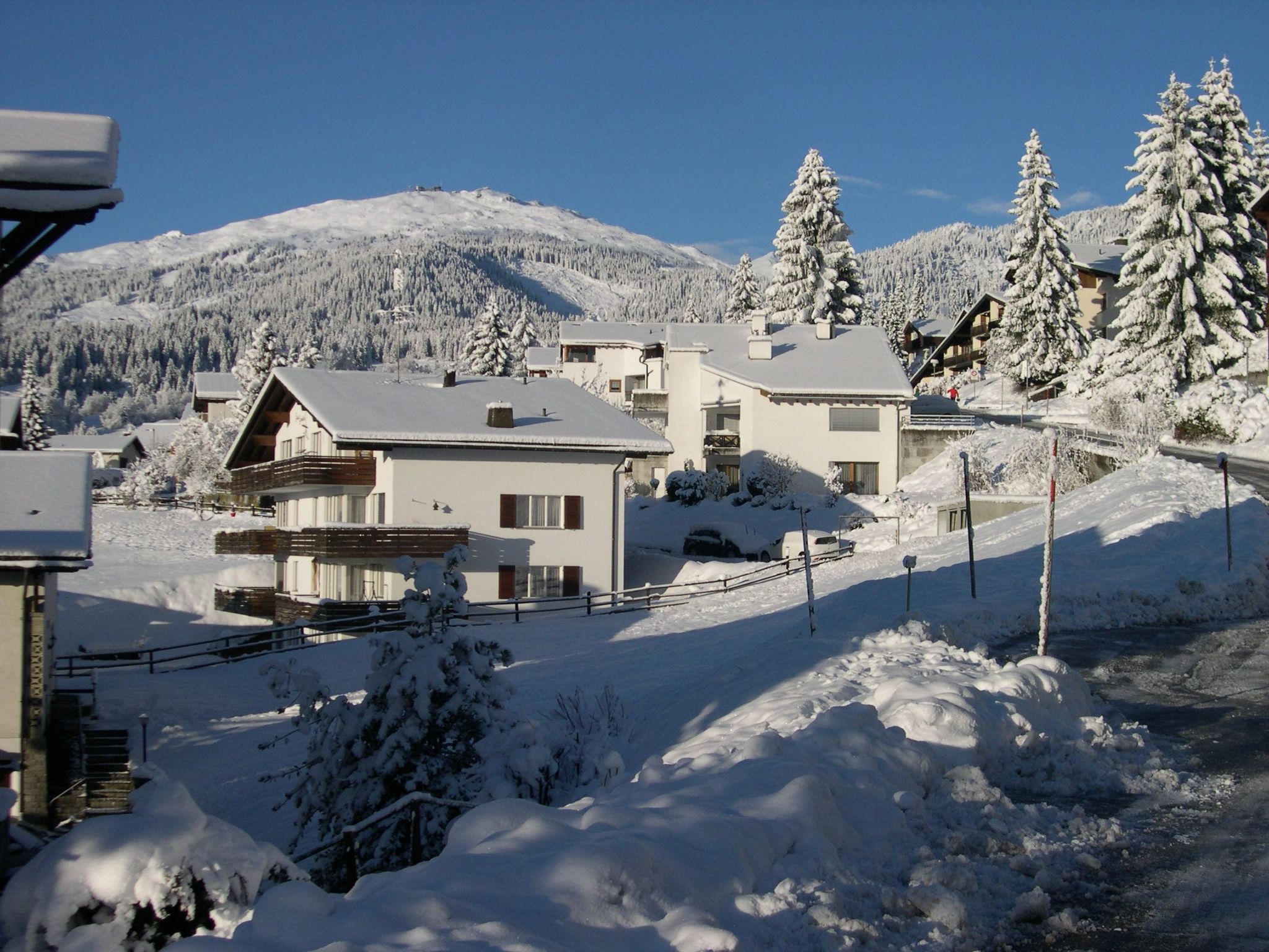 A residential area with snow-covered houses and trees, a clear sky, and a mountain in the background.