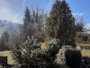 Eine Berglandschaft mit immergrünen Bäumen und blauem Himmel.