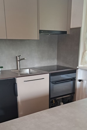 Kühlschrank, Ofen, Geschirrspüler, Kochgeschirr/Geschirr/Besteck