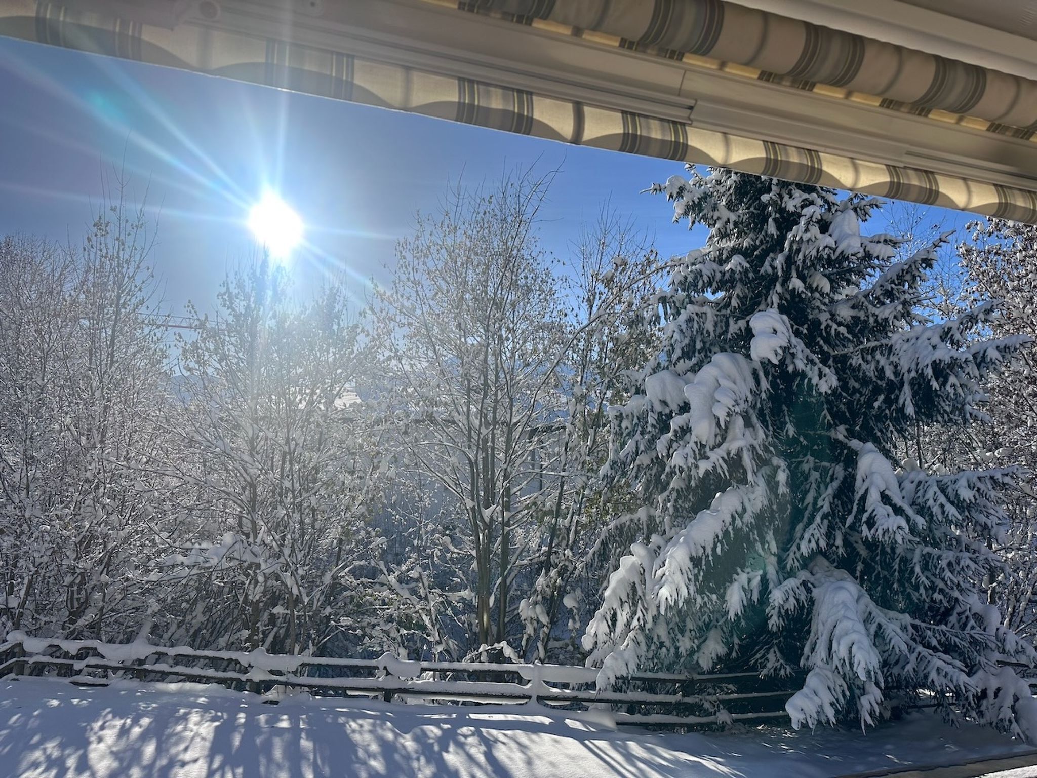 A snowy landscape with trees and a bridge in the background.