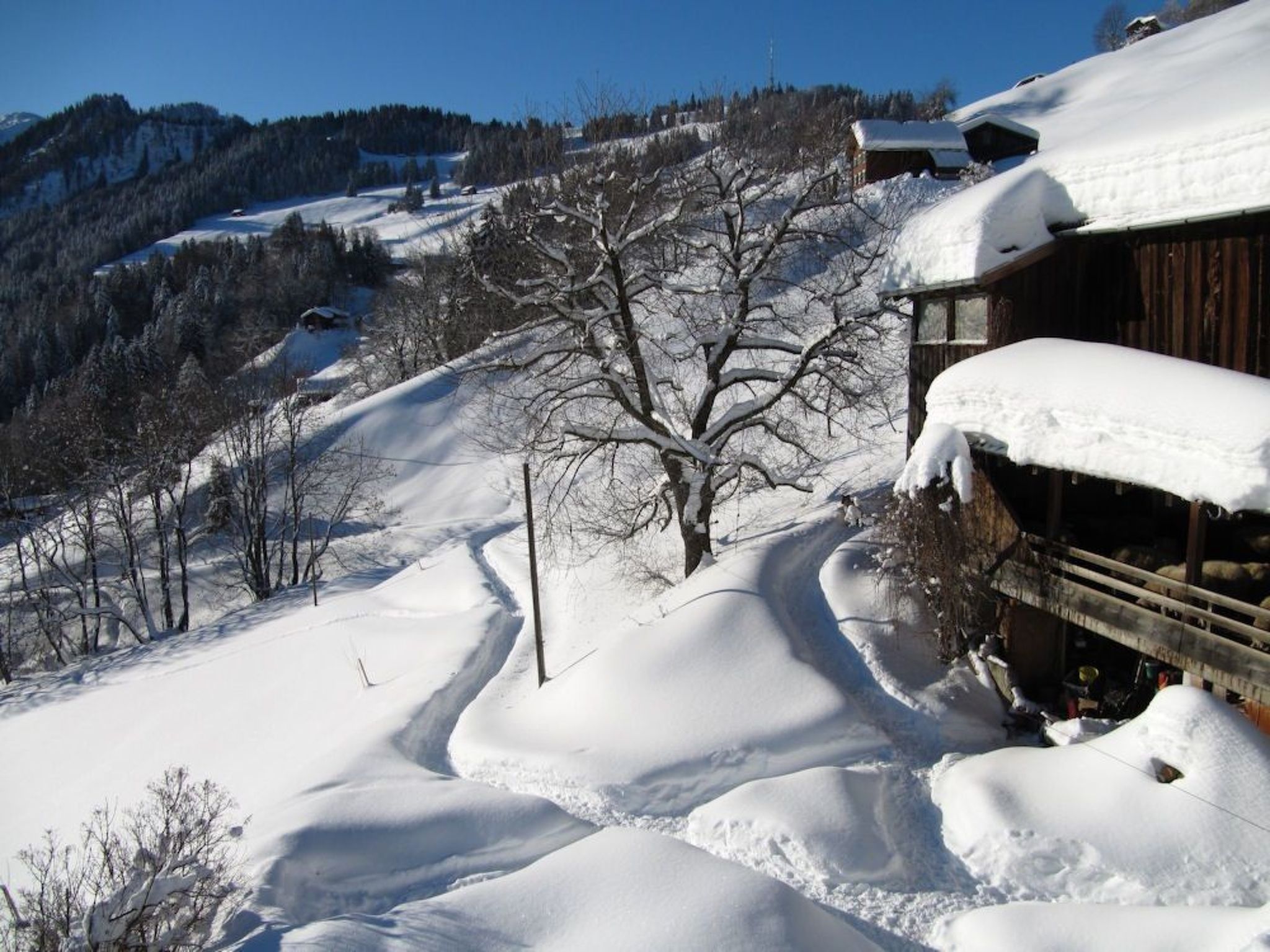 Winterliche Landschaft mit einer Holzhütte und blauem Himmel.