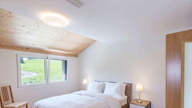 Unclassified image, 1 of 11, button - Jones, (Pany), jones_pany by Interhome (Pany)