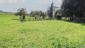 A grassy field with trees and a wooden fence. - Willow (Barnstaple)