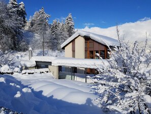 A snow-covered house with a modern design, surrounded by snow-laden trees and a clear sky. - Ferienhaus Carrera mit Traumgarten, Valendas, (Valendas), 22007B by Interhome (Valendas)