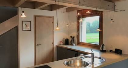 Ferienhaus Carrera mit Traumgarten, Valendas, (Valendas), 22007B by Interhome