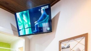 Una habitación con un televisor montado en la pared, una mesa de madera con un control remoto, dos pequeñas macetas, un cuadro enmarcado y una zona de ducha con azulejos verdes.
