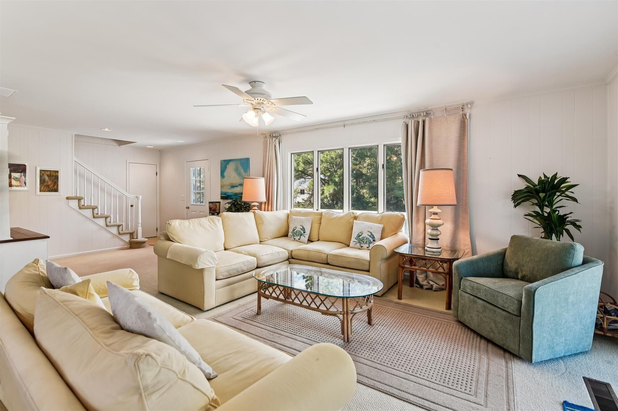 Smart TV, DVD player, books, video library