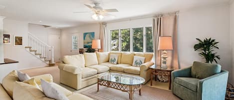 Smart TV, DVD player, books, video library