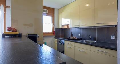 Arnika Kornmayer, Obersaxen-Affeier, (Obersaxen), 34001B by Interhome