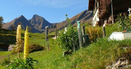 BioHof Casutt, Tenna, (Tenna). by Interhome