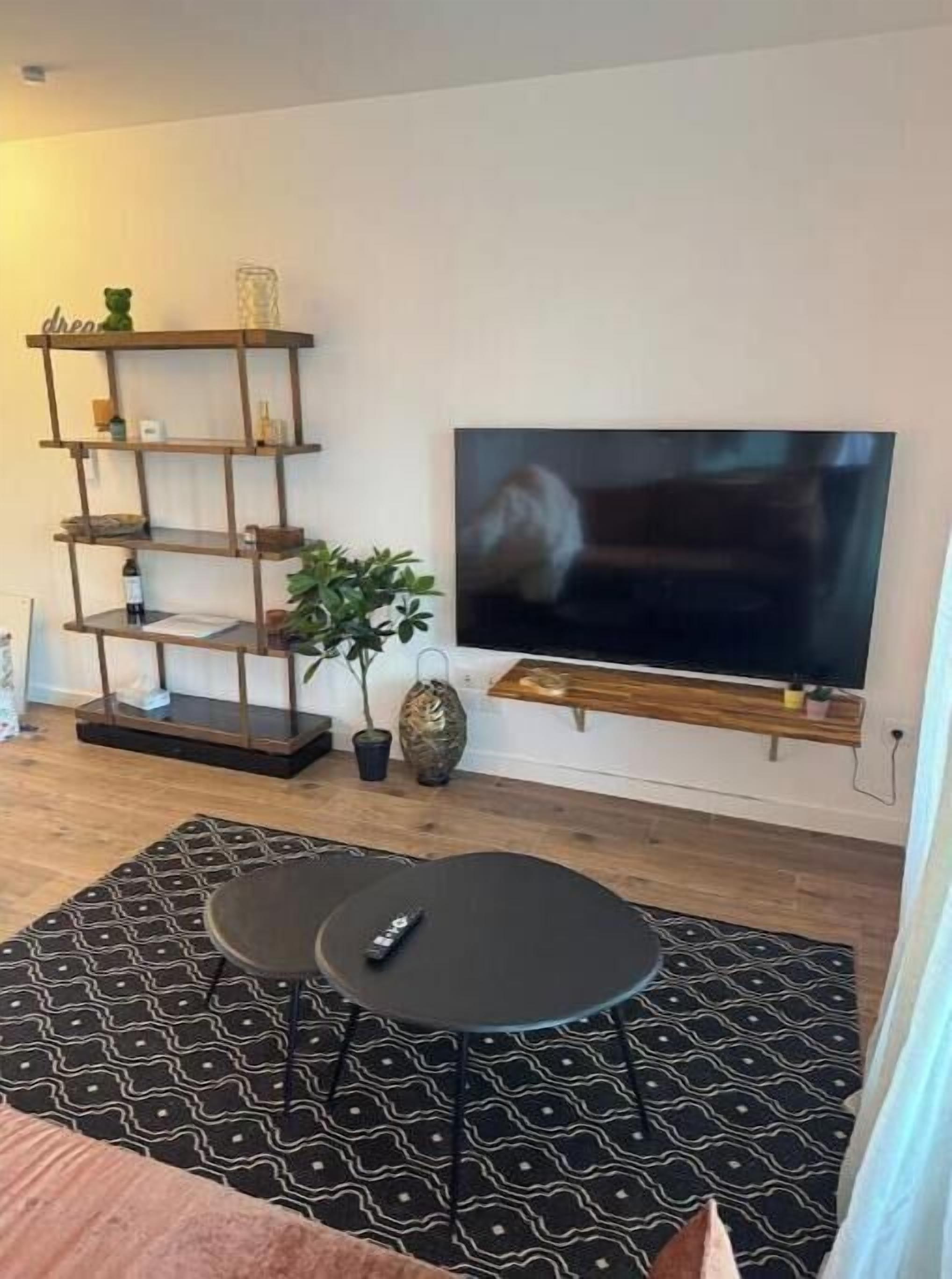 A living room with a TV, a wooden shelf, a potted plant, and a patterned rug.