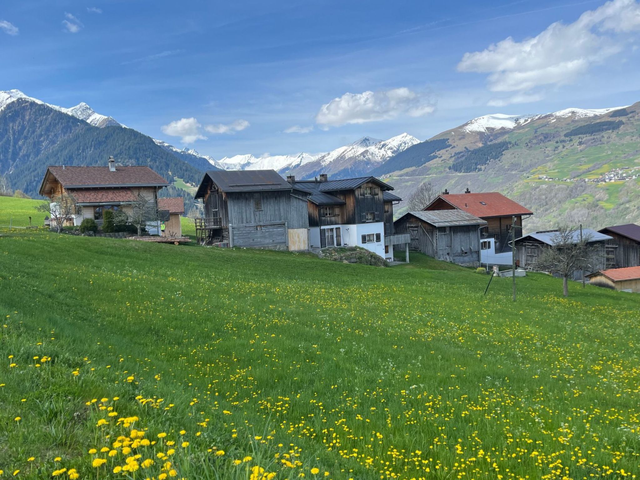 Un paisaje rural con casas de madera tradicionales, un campo cubierto de flores amarillas y montañas nevadas al fondo.