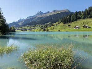 A serene lake with surrounding greenery and mountains.
